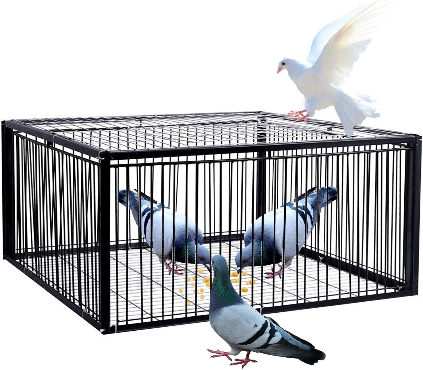 Trampa para Pájaros, Trampa para Palomas con Entrada Unidireccional, Trampa para Animales, Jaula Fácil De Montar, Jaula para Palomas, Cifrado De 2 Cm, Diseño Antie, One Color, 40x40x26CM