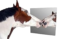 Vista 9 de Lámina De Plástico De Plexiglás Acrílico 1/8" x 24" x 24" - Transparente