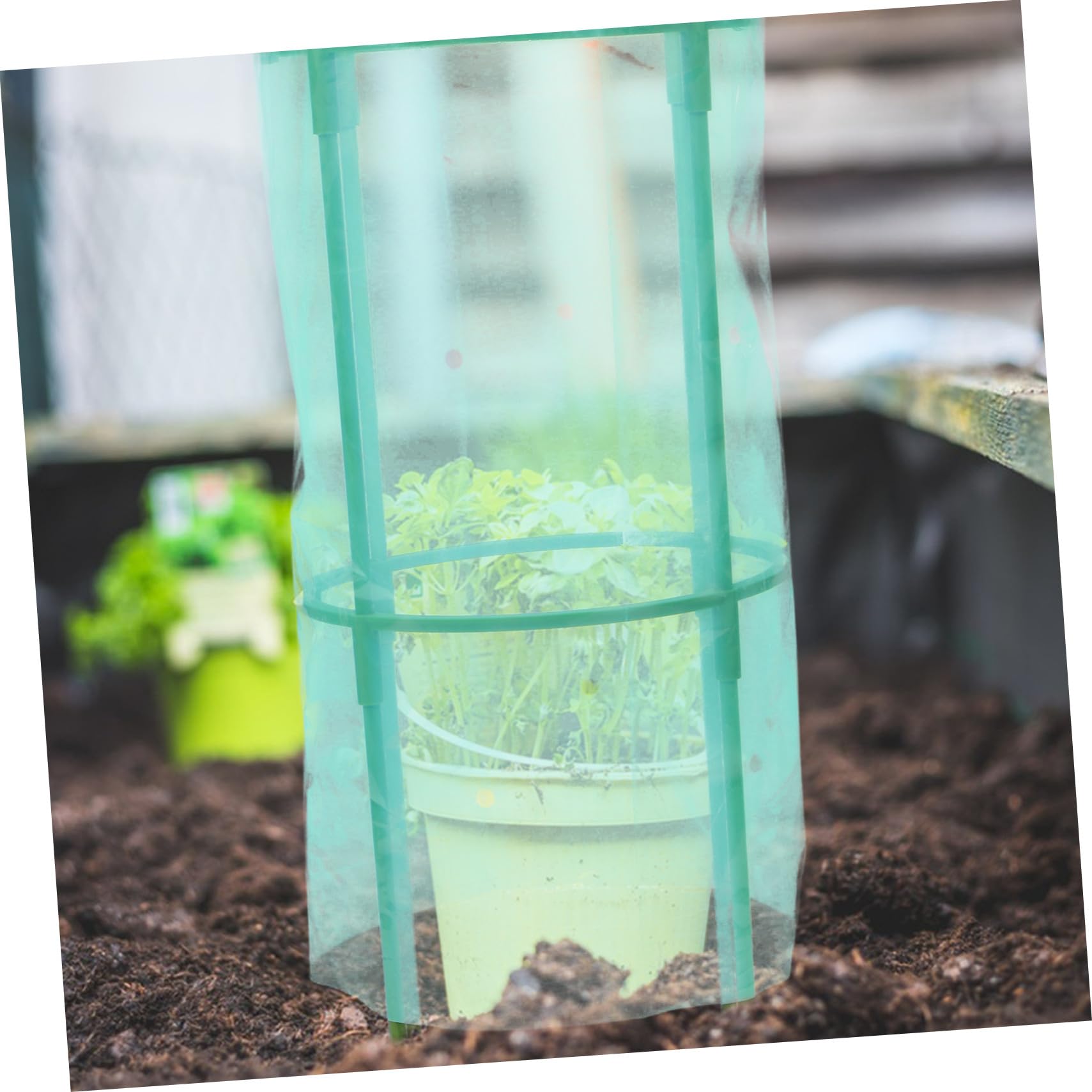 VANZACK 2piezas Cobertura Protectora De Plantas para Jardín Transparente y Aislante para Hortalizas y Tomateras Protección contra Heladas y Congelación