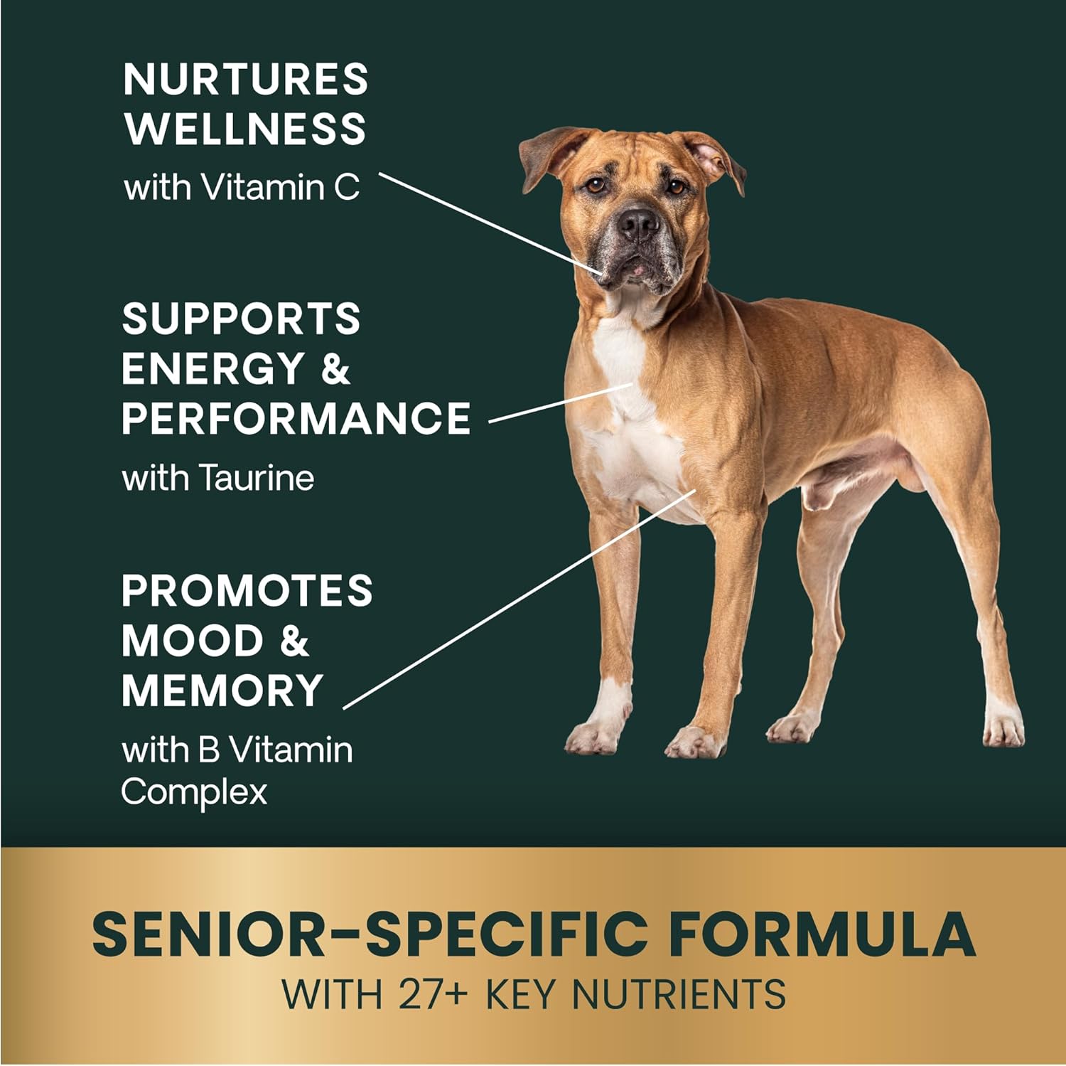VetriScience Extra Strength Senior 27+ Active Health Chews, Golden Years Daily Multivitamin for Senior Dogs, Balanced Vitamins, Minerals, and Omega-3s, Aging and Wellness Support, Chicken, 60 Count
