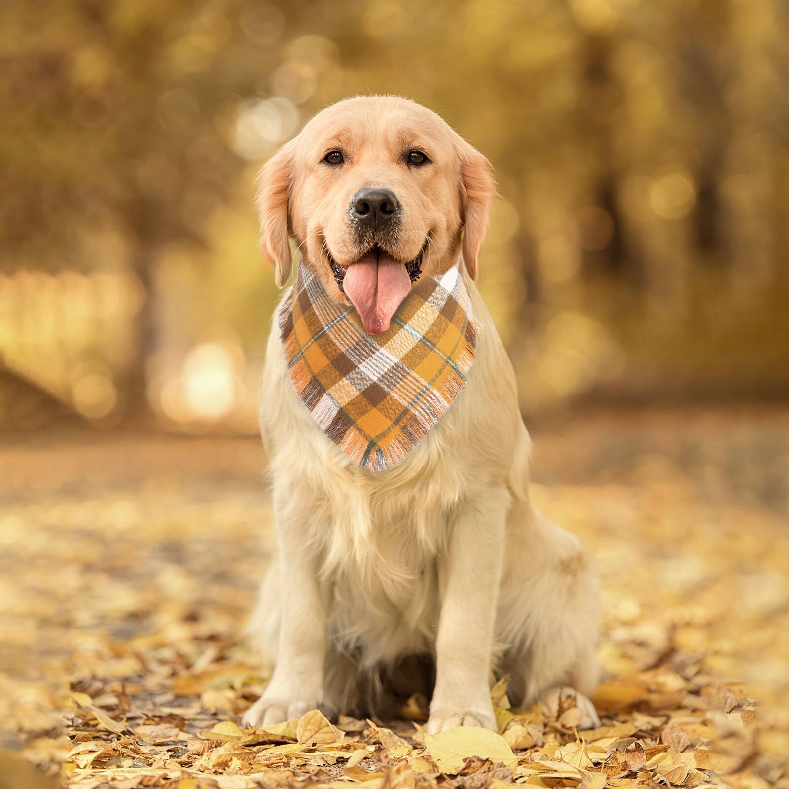 2 Stück Hundehalstuch – Herbst-Design, Orange Kariert, Wendbar, Für Kleine Bis Große Hunde