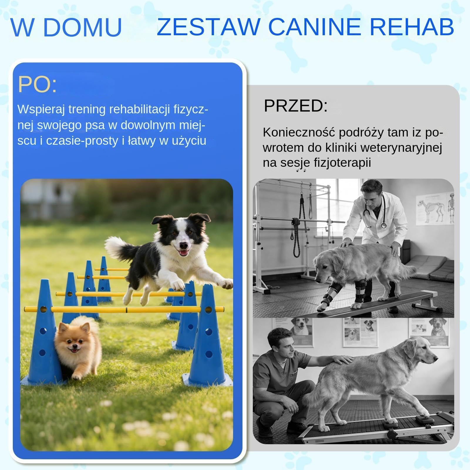 Torem Przeszkód dla Psów do Ogrodu Przenośne akcesoria dla pupili | Stożki treningowe do toru przeszkód dla Szczeniaka i na Zawody Zabawę Ćwiczenia w Domu na Zewnątrz w Parku