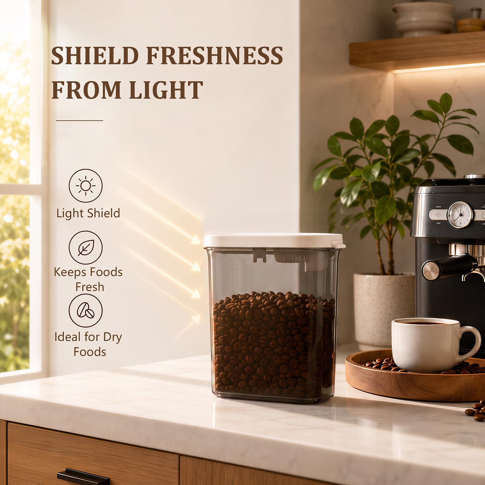 Distributore di polvere – Contenitore ermetico per caffè con
