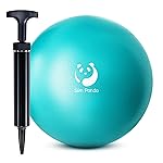 Slim Panda Pilates Ball with Pump, 9 Inch Small Exercise Ball, Anti Burst Mini Yoga Ball for Stability, Workout, Barre, Core Strength, Physical Therapy, Balance, Stretching