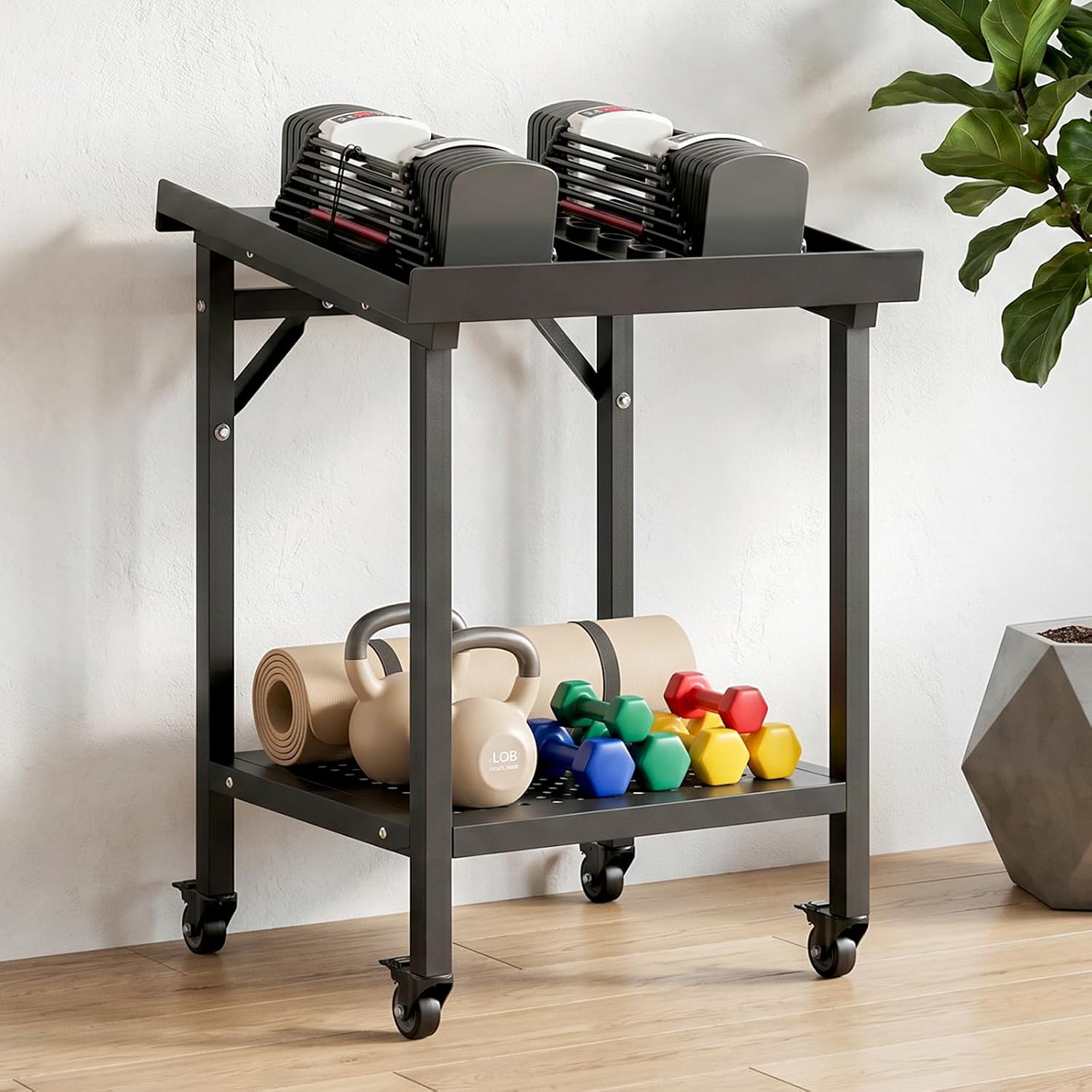 2-Tier Adjustable Dumbbell & Kettlebell Rack with Wheels, Heavy-Duty Steel Weight Storage Stand, 500LB Capacity, Locking Casters, Space-Saving Home Gym Organizer