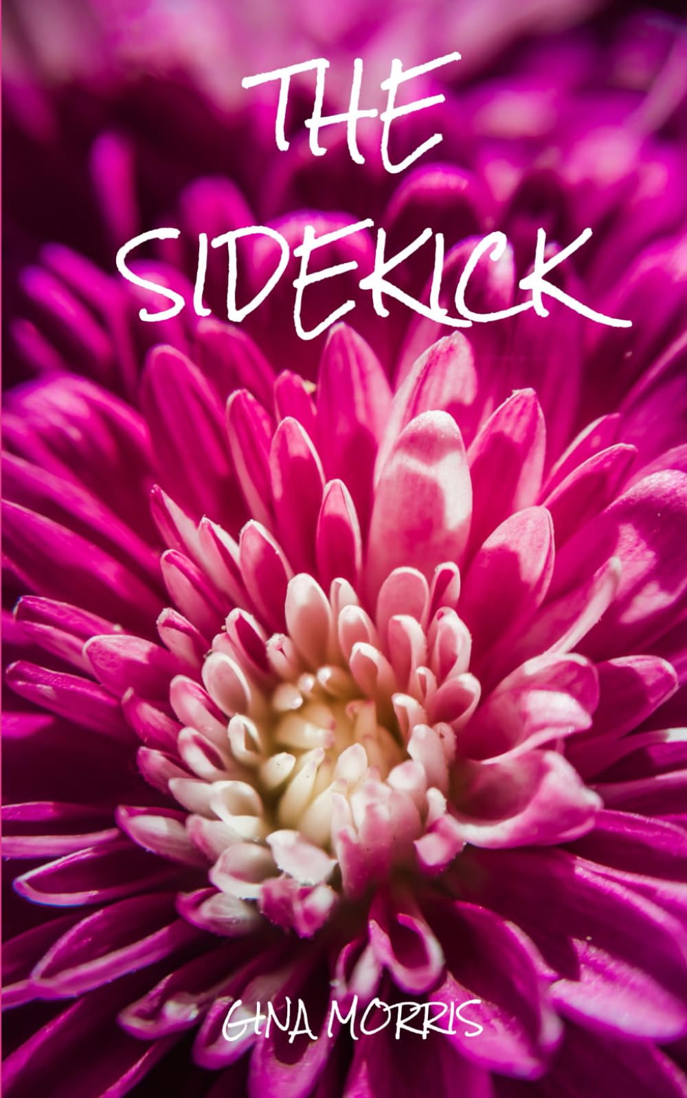 The Sidekick