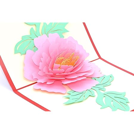 Medigy Carte D Anniversaire Faite A Main 3d Pop Up Kirigami Creux Fleur De Pivoine Pliable Carte Postale De Voeux Pour Anniversaire Mariage Saint Valentin Avec Enveloppe Rose Amazon Fr Fournitures De Bureau