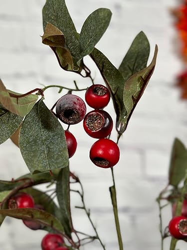 Miniatura 5 de Admired by Nature