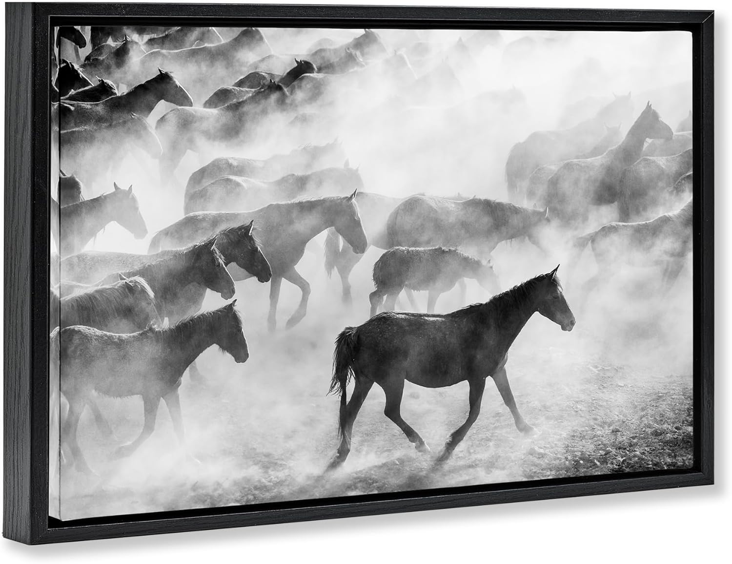 Stupell Industries Dusty Road Horse Photograph Black Framed Floater Canvas Wall Art, design by Sisi and Seb, 17 x 25