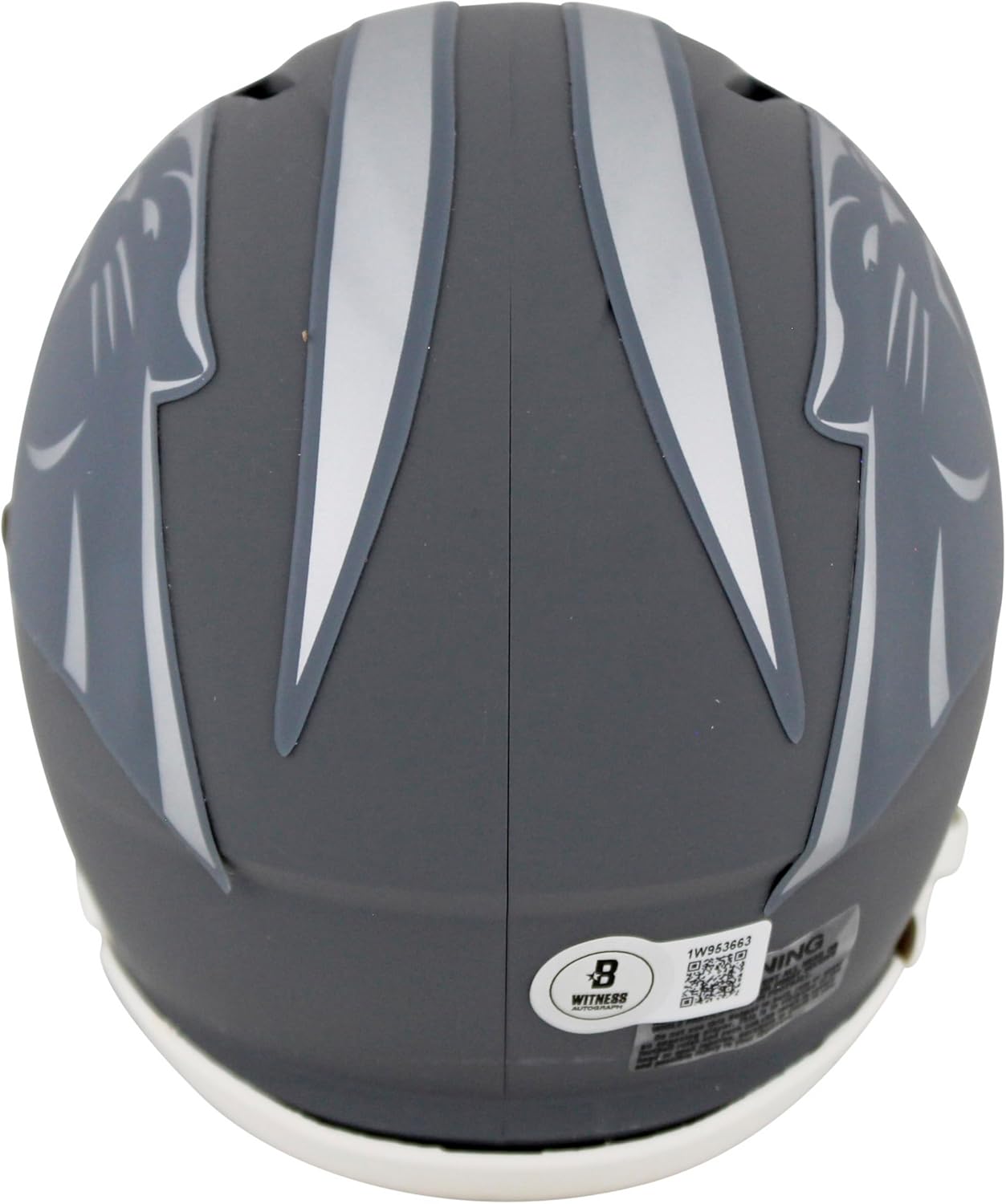 Panthers Julius Peppers Signed Slate Speed Mini Helmet W/Case BAS Witnessed