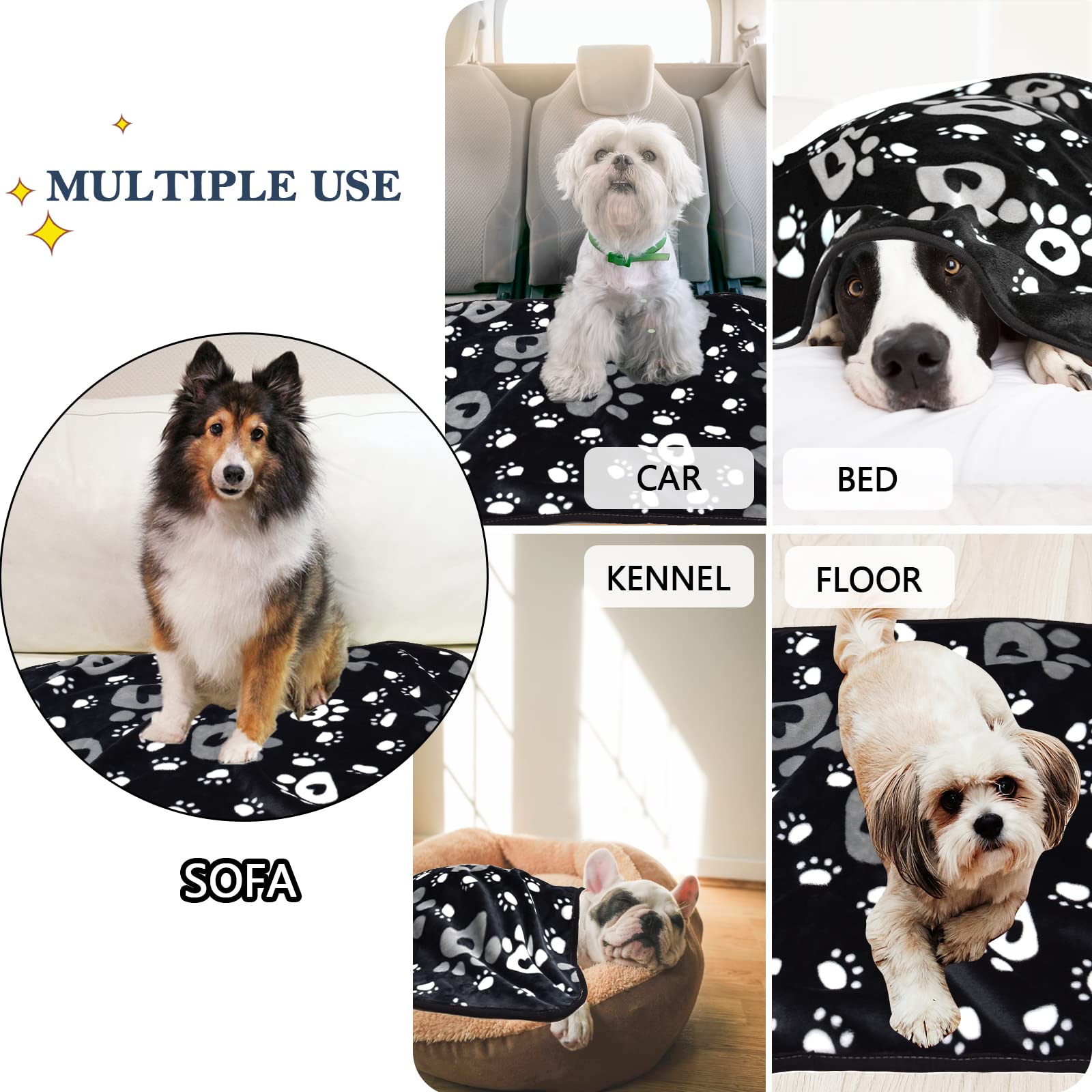 https://m.media-amazon.com/images/I/71MUg9nxZCL.jpg