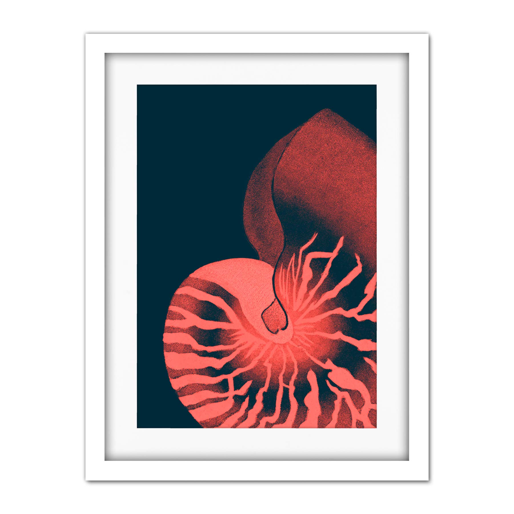 Wee Blue Coo Pink Seashell Nautilus Artwork Framed Wall Art Print 18X24 Inch
