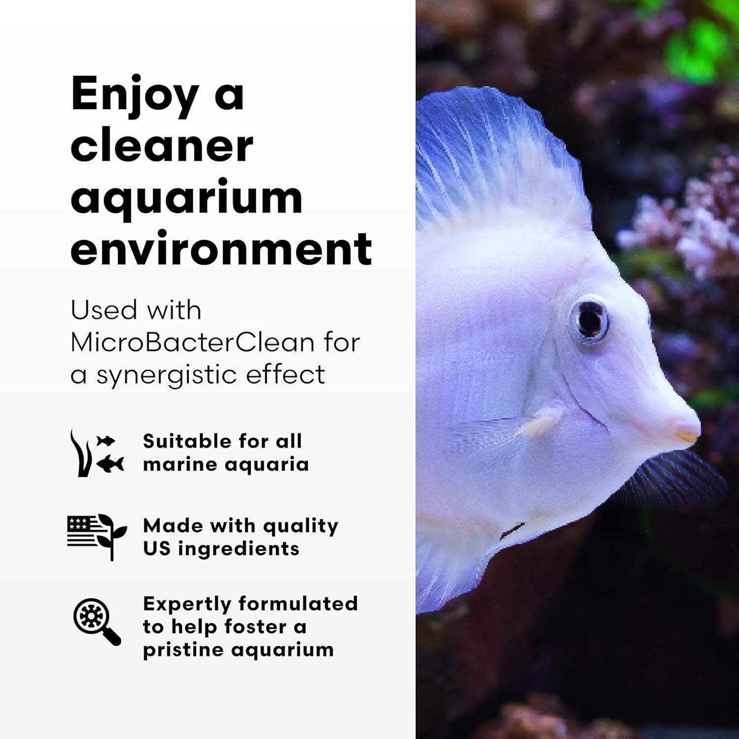 Brightwell Aquatics - Razor Marine - Unique Systemic Fish Tank Cleaner for Marine Aquariums - Aquarium Water Treatments, 33.8 fl oz