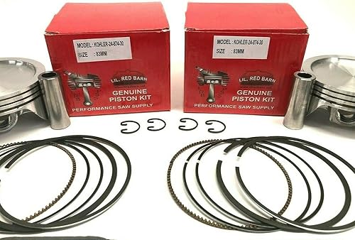 Miniatura 2 de Kit de revisión Pistones con anillos, Juego de juntas, Sellador de cárter de cárter, Sellos de retención, Válvulas de escape de admisión, Bielas,