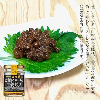 Amazon.co.jp: 後藤屋 ご飯にかける 生姜焼き 80g : 食品・飲料・お酒