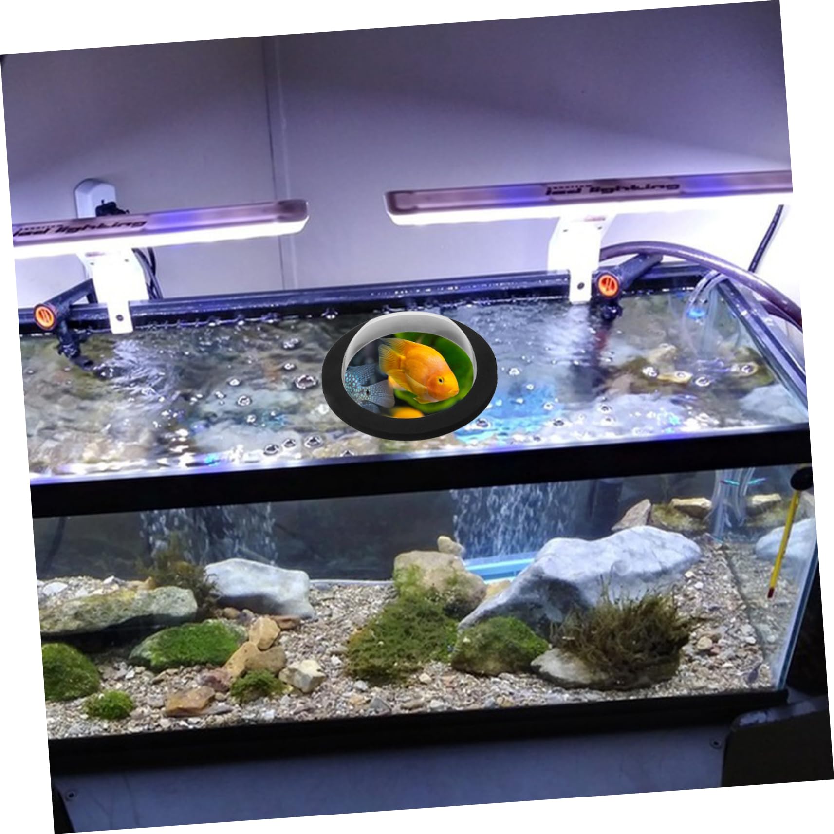 BESPORTBLE 4 Pezzi Copertura Galleggiante Per Laghetto Portabolle Galleggianti Carri Armati Cestini Pianta Galleggiante Arredamento Fontane All'aperto Piante Acquatiche Vive Acrilico Black