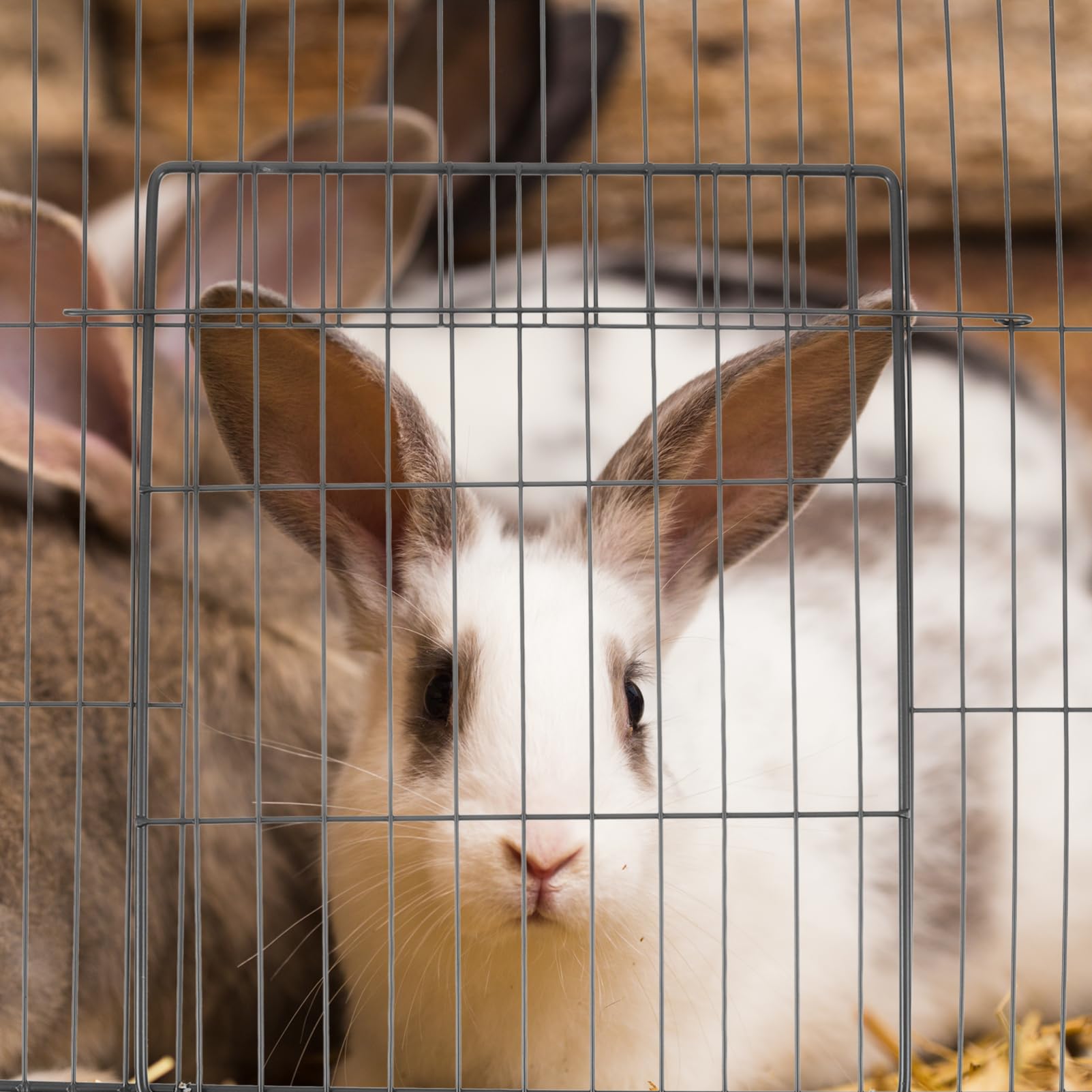 BELLIFFY Pet Cage Accessory Metal Wire Fence Door Cat Cage Mesh Door for Small Animals