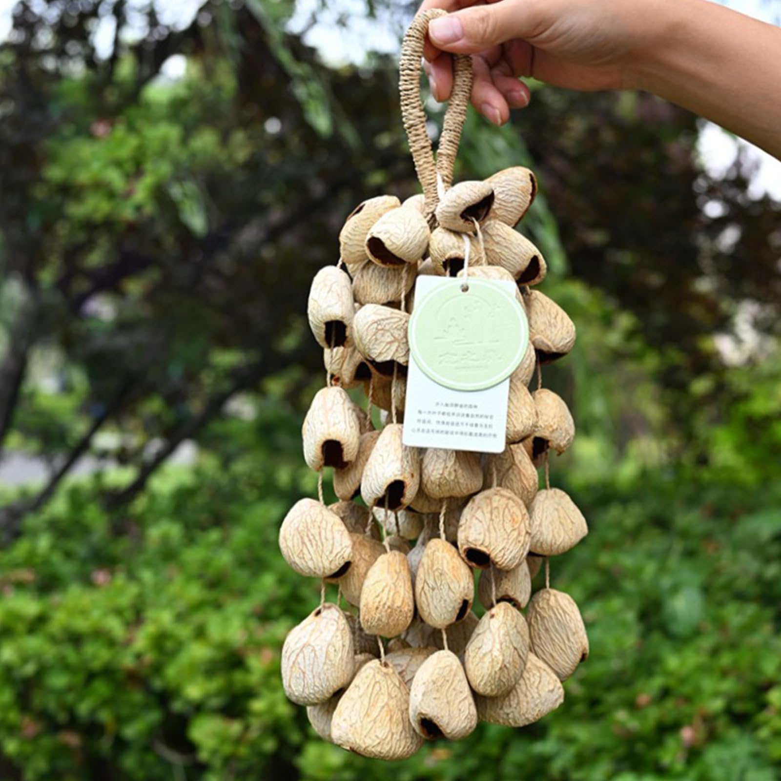 Campanelli a vento compatti leggeri con guscio di frutta naturale per musica da viaggio strumenti a percussione per musica da viaggio strumenti a percussione da giardino all'aperto