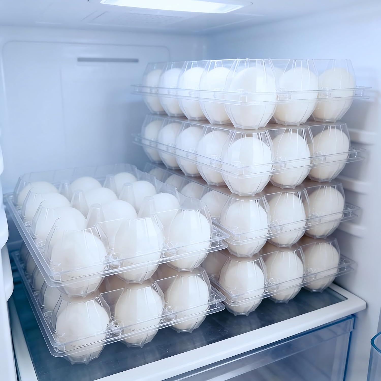 40 Pack Jumbo Egg Cartons 12 Count Bulk, Clear Plastic Reusable Egg Cartons, Fits Duck, Turkey & Goose Eggs, for Farmers & Market Display