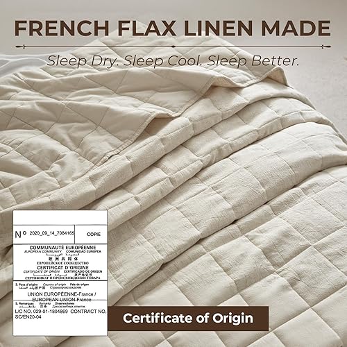 Miniatura 3 de Powdion - Juego de cama con edredón de lino francés tamaño queen, 100% lino en la parte delantera / 100% algodón en la parte trasera, ropa de cama