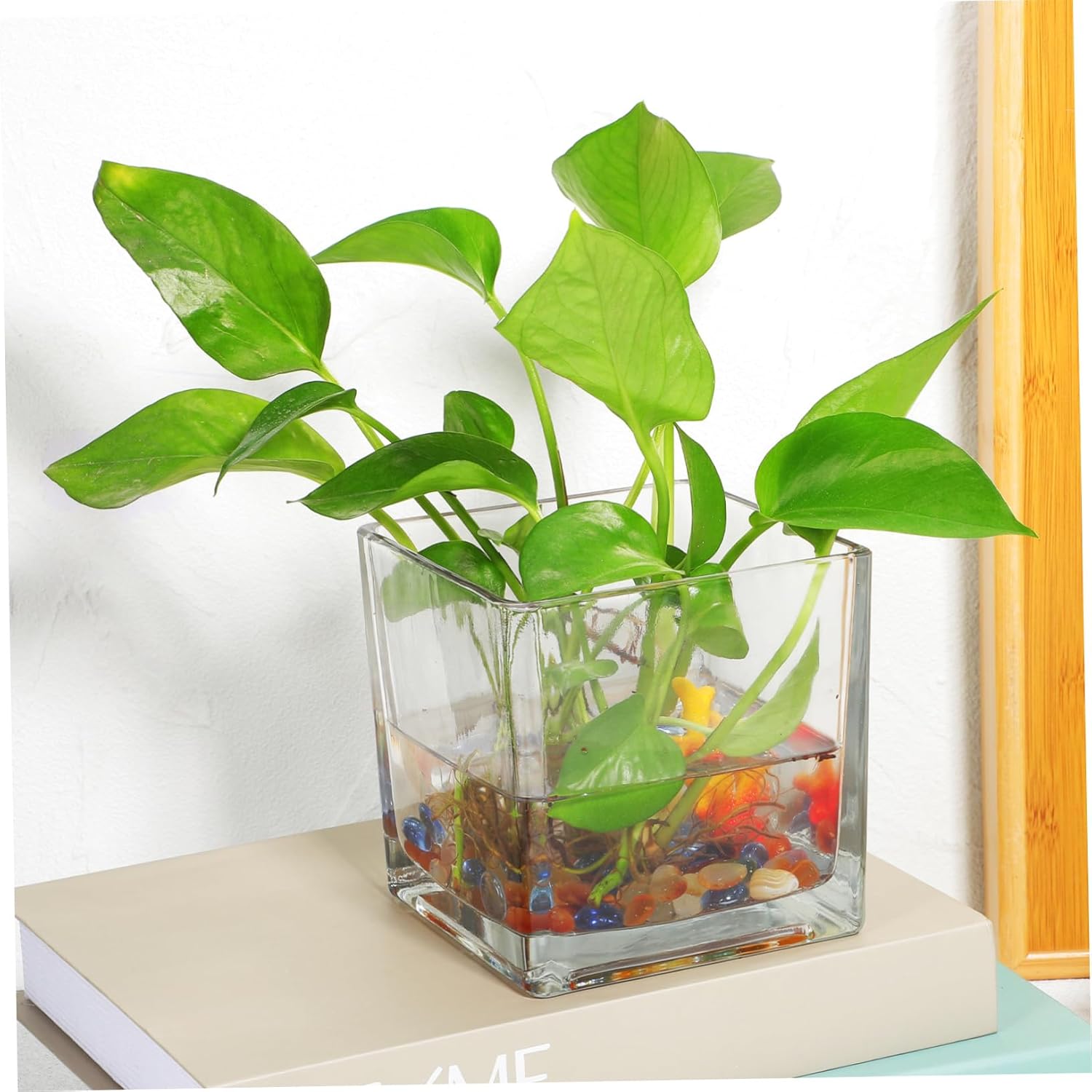 2pcs Glass Flower Vase Cube Plant Propagation Stations Terrarium Planter