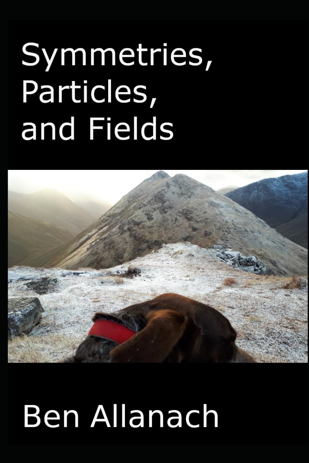 Symmetries, Particles, and Fields