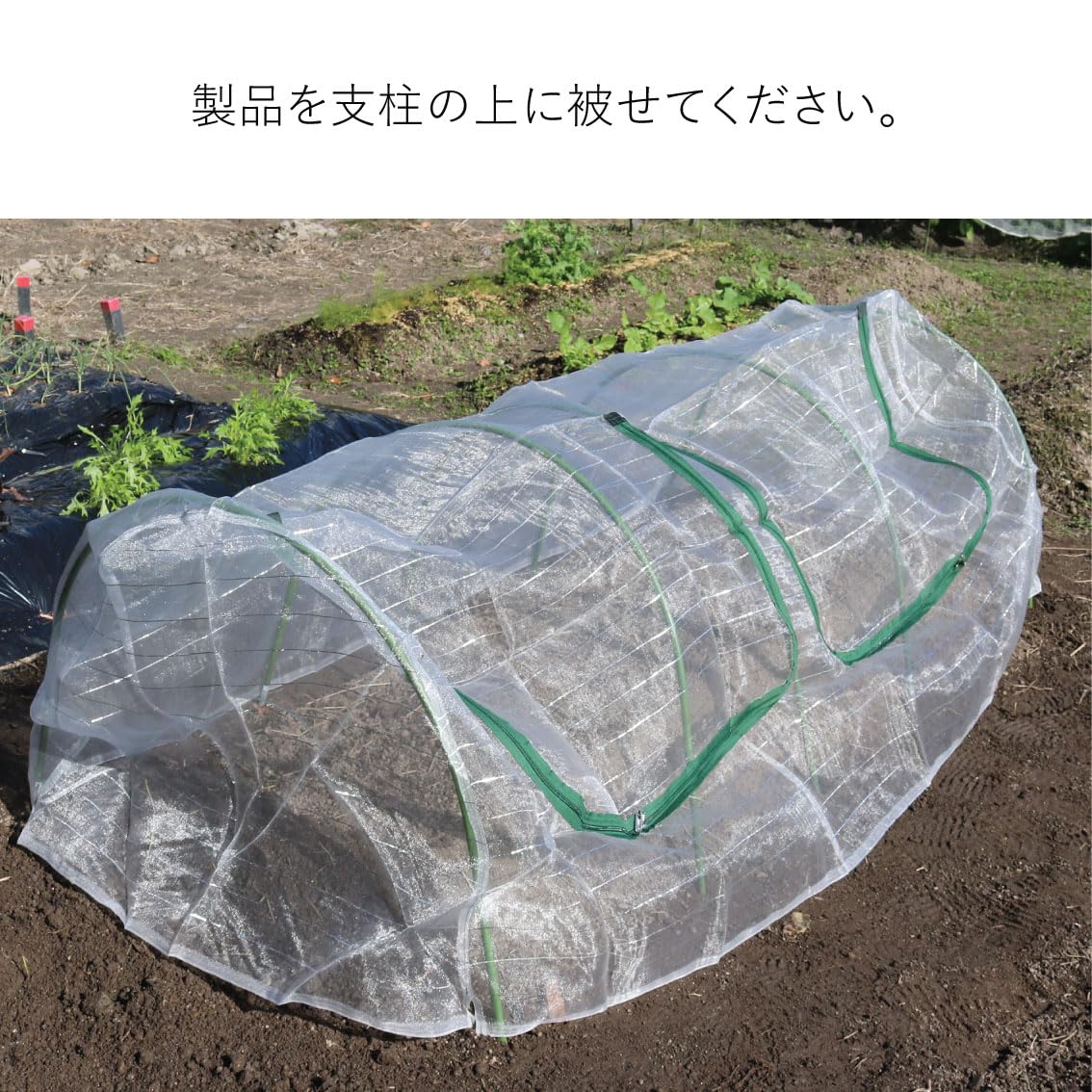 ネット　１１ｍ×２ｍ Amazon.co.jp: ファスナー付き 菜園用らくらく防虫ネット・家庭