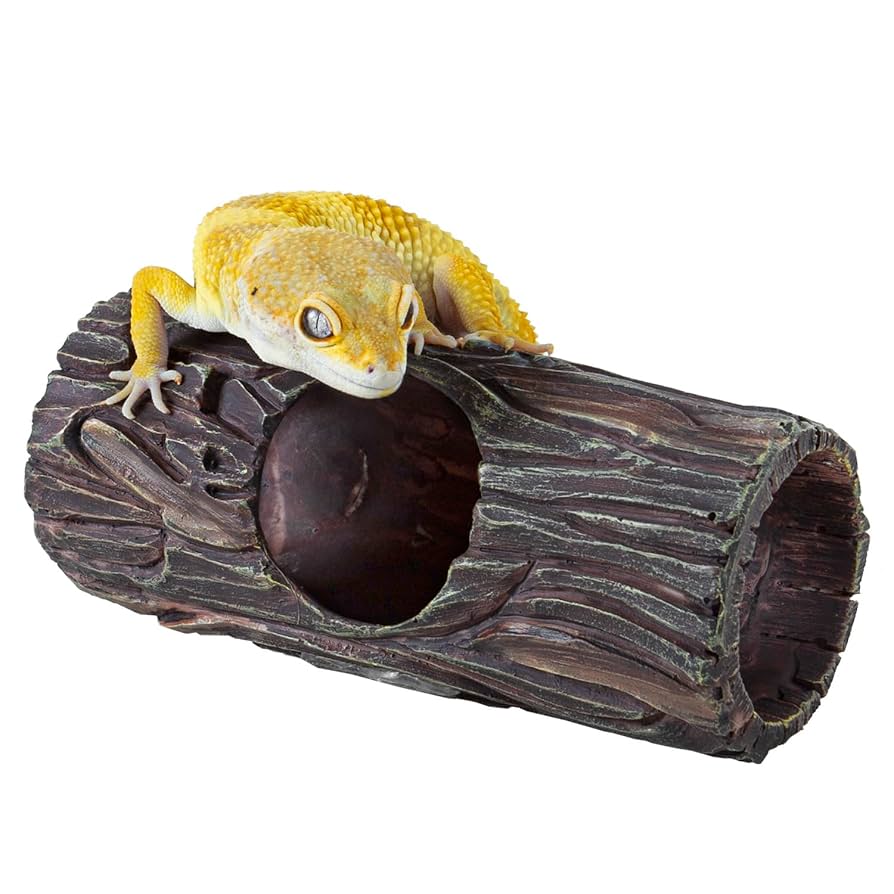 HIDEOUT DAC National Geographic おまけ付 HIDEOUT DAC National Geographic おまけ付 HIDEOUT DAC