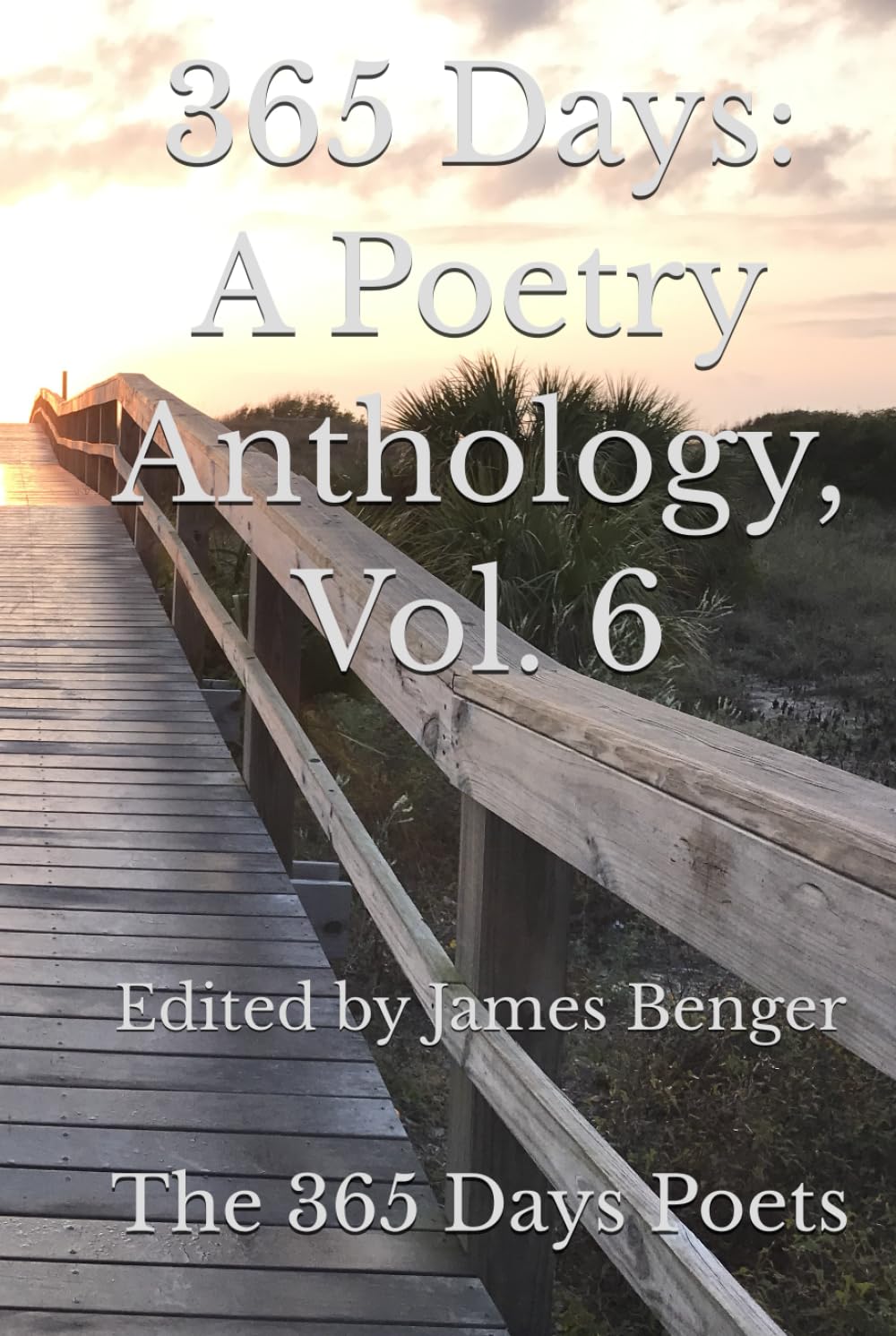 365 Days: A Poetry Anthology, Vol. 6