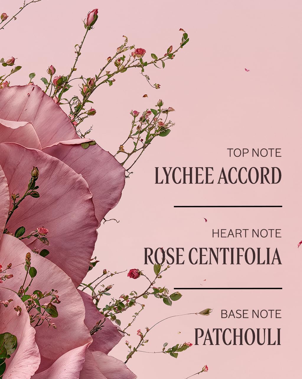 L'OCCITANE Hand Cream: Nourishes Very Dry Hands, Protects Skin, With Shea Butter, Vegan, Lavender, Cherry Blossom, Rose, Neroli Orchidee, Verbena, Peony, Barbotine - Image 4