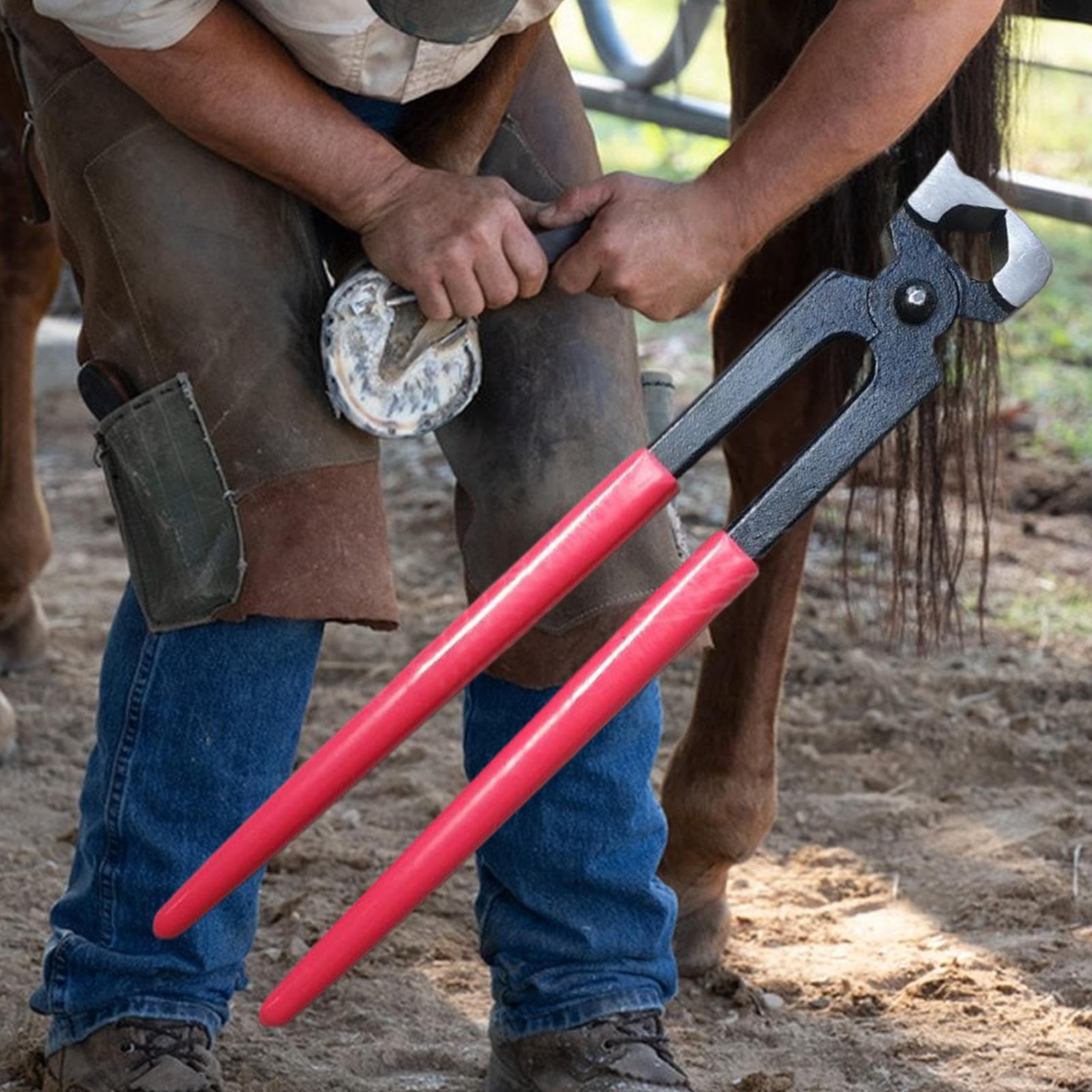 Tenaglie Da Zoccolo Per Pinze da Maniscalco Resistente | Cesoe per Unghie Ovini Per La Manutenzione E Il Taglio Zoccoli Fattoria Ranch E Scuderia