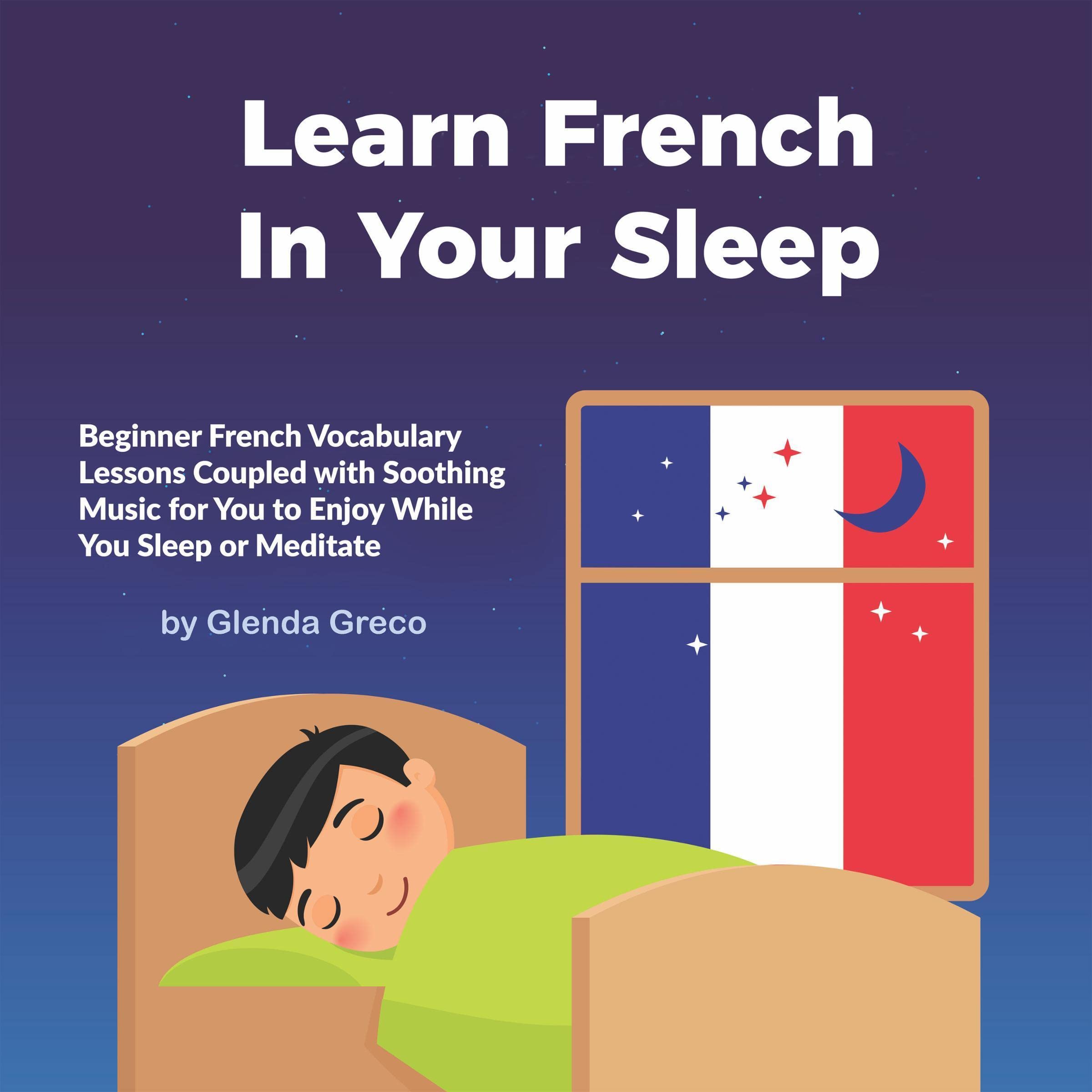Cover art for Learn French In Your Sleep