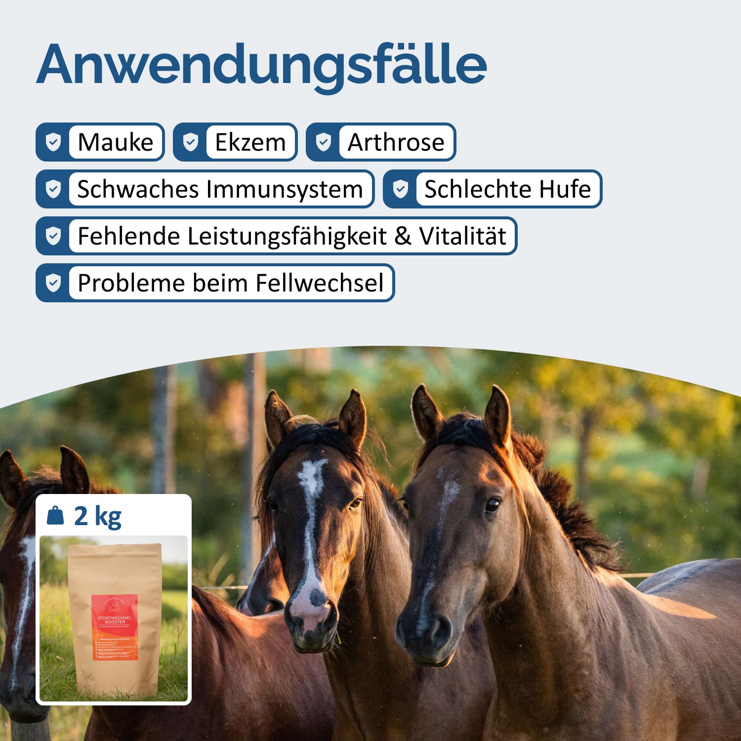 The Horse Vitality Company Stoffwechselbooster für Pferde 2 kg Pulver | Mischung aus Kräutern, Zink & Magnesium | Fellwechsel, Immunsystem & Vitalität | 100% natürlich | Made in Germany