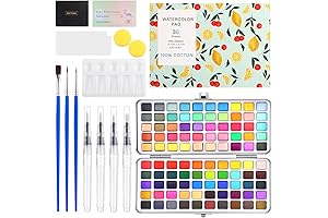 Adult 100 Watercolor Set for Professionals