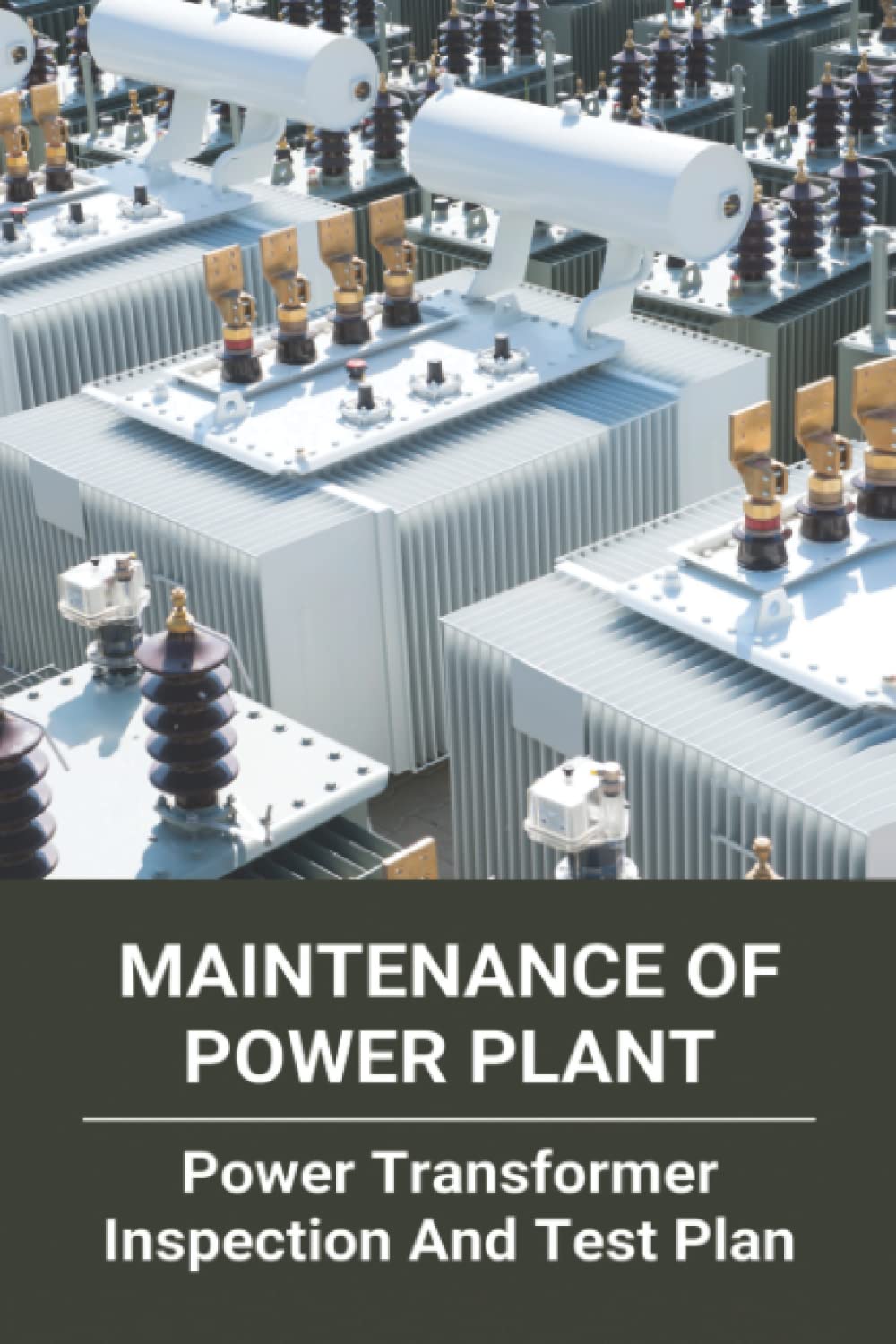 Transformer Inspection Window Buy Maintenance Of Power : Power Transformer Inspection And Test Plan ...