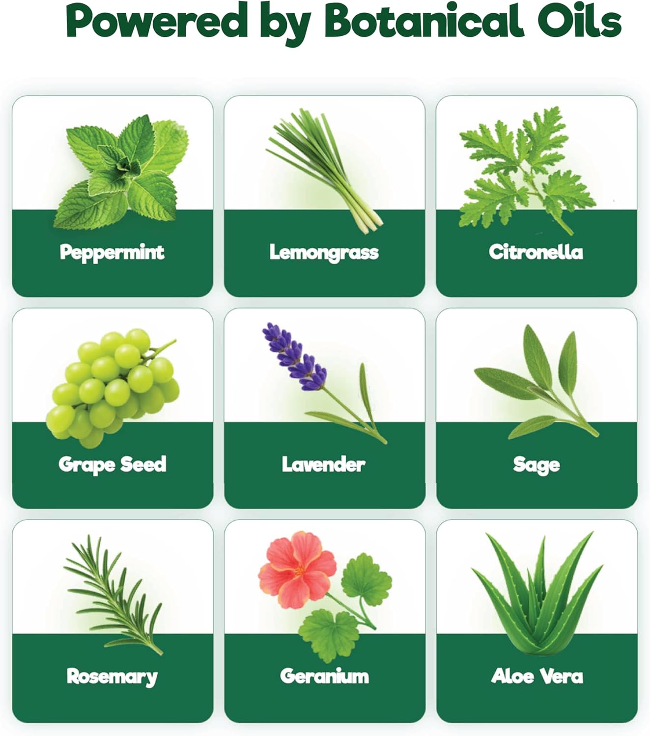 Don’t Bug My Dog™ Natural Dog Spray – Plant-Based Essential Oil Formula – Outdoor Dog Spray for Coat & Skin – Daily Use Botanical Dog Care