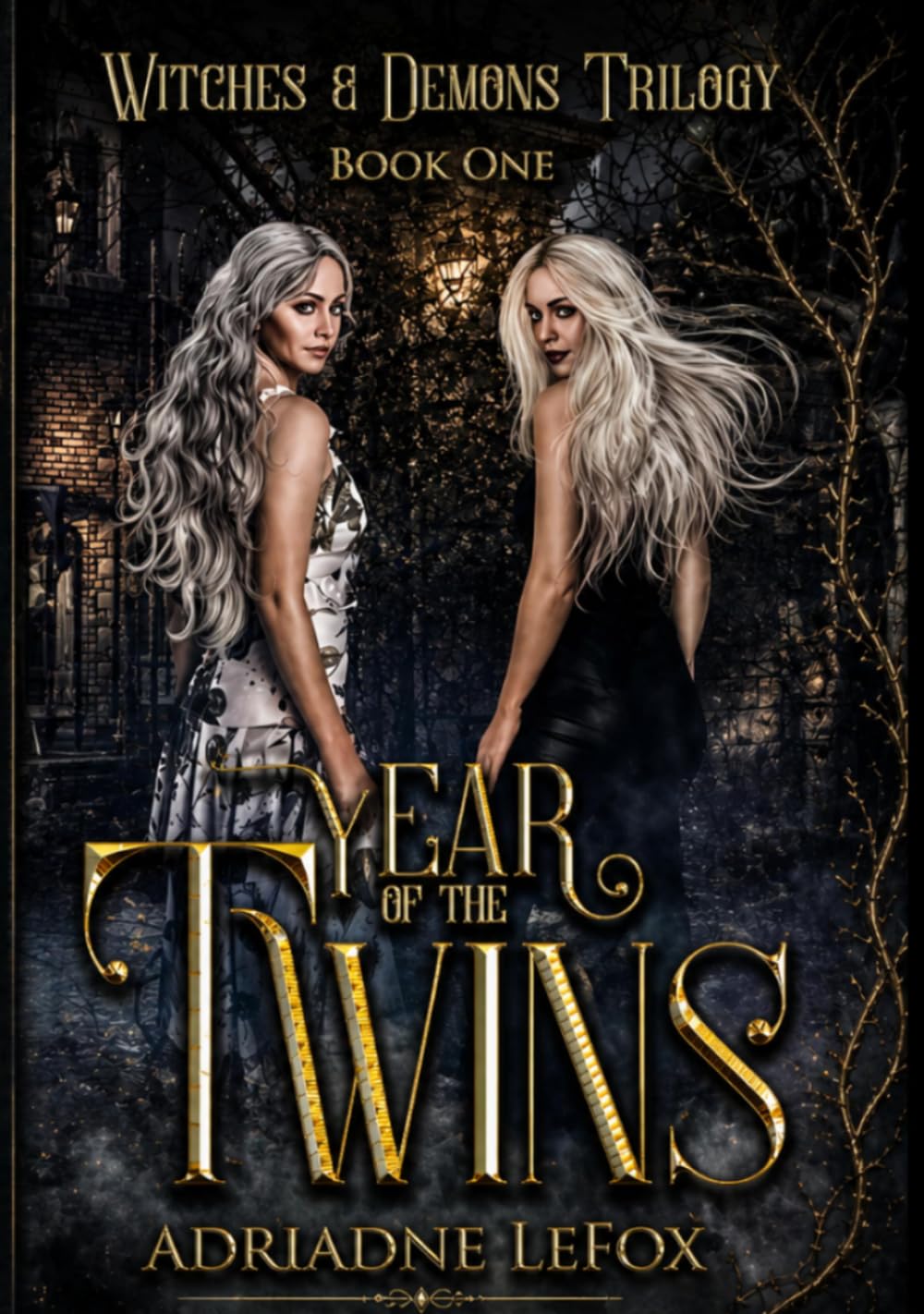 Year of the Twins: A Dark Fantasy Romance of Demons, Twin Bonds, and Forbidden Magic (Witches & Demons Trilogy)