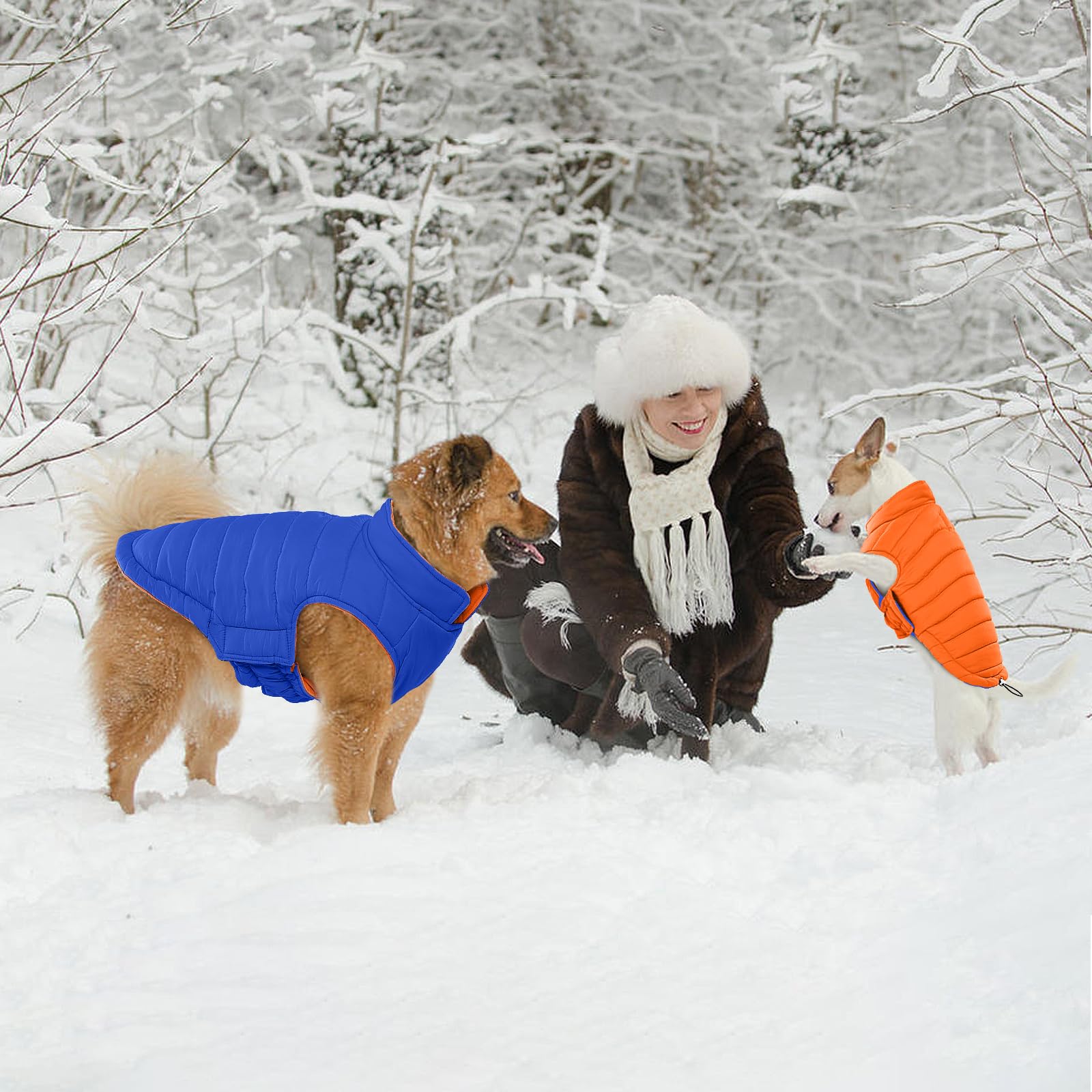 Lelepet Abrigo de invierno reversible para perro, chaqueta impermeable cálida para perros grandes, chaqueta acolchada de invierno para cachorros, chaleco resistente al viento, fácil de poner y quitar