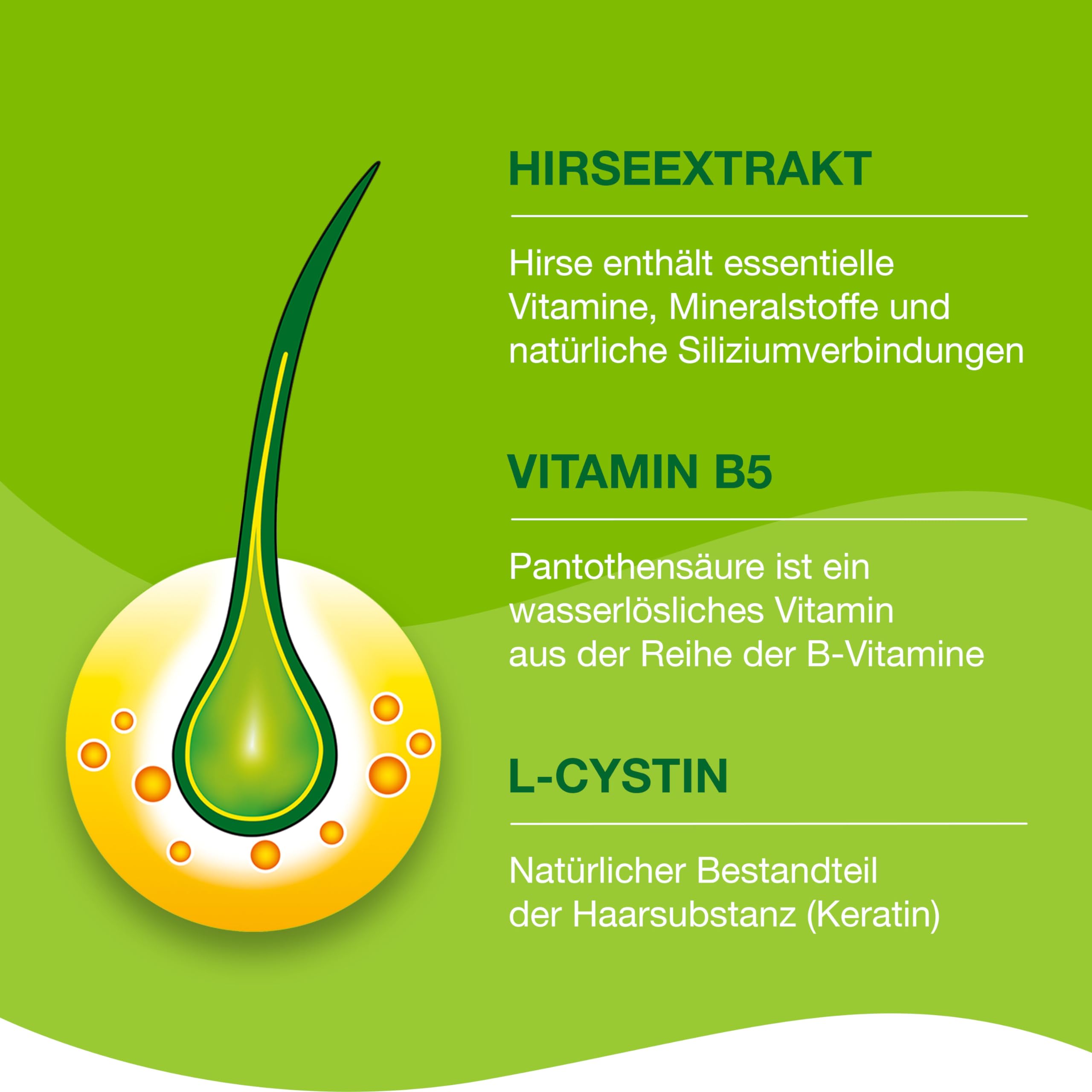 Priorin Kapseln | Haarausfall bei Frauen | volleres und kräftigeres Haar | nährstoffreich: Hirseextrakt, Vitamin B5 und Cystin | 30 Stück