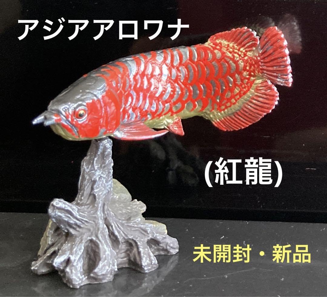 Amazon.co.jp: アジアアロワナ 紅龍 古代魚／ フィギュア いきもの大 