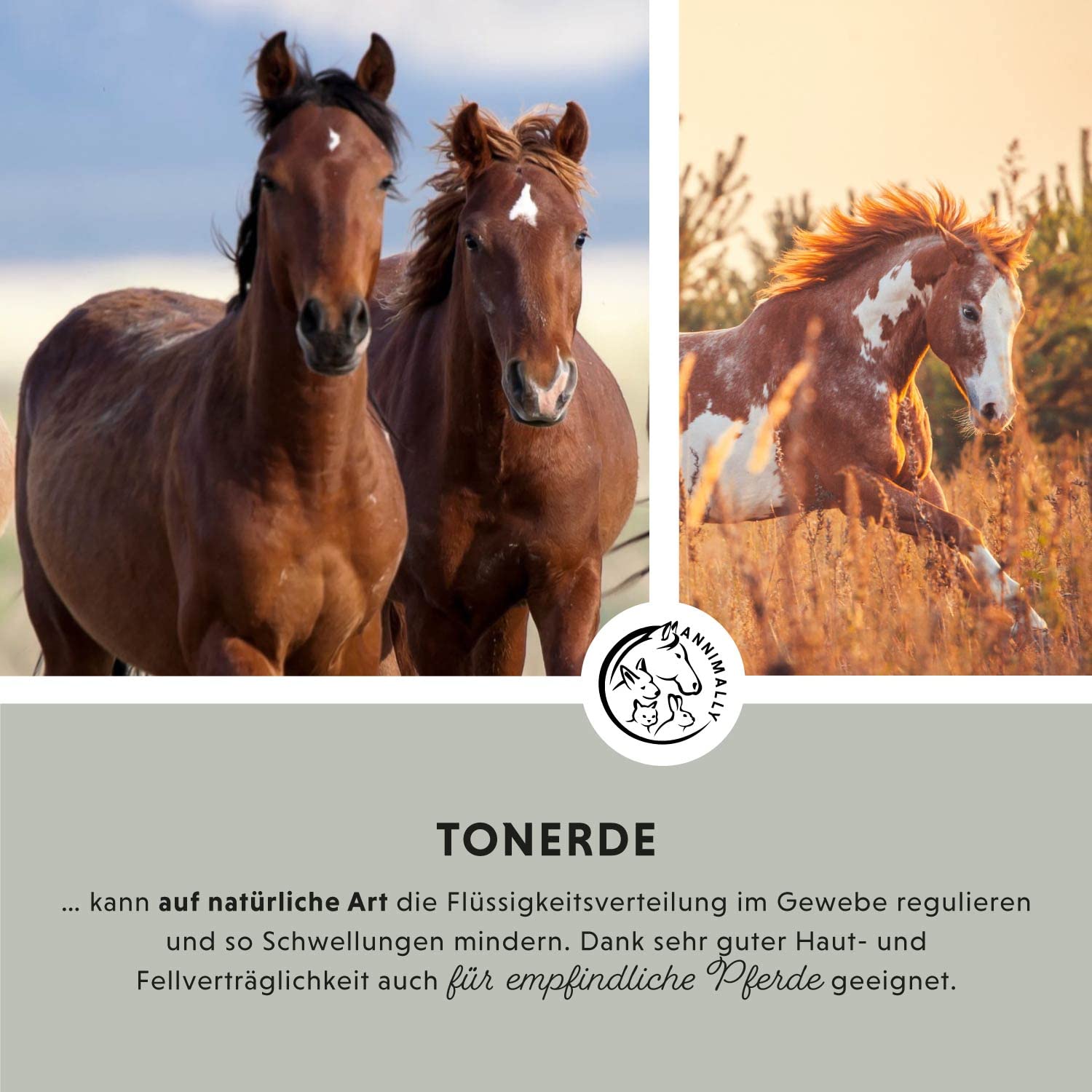 Annimally Tonerde Pferd 2kg - Tonerdepaste für Pferde mit wertvollen Kräuterextrakten zur Entspannung & Beruhigung der Muskeln