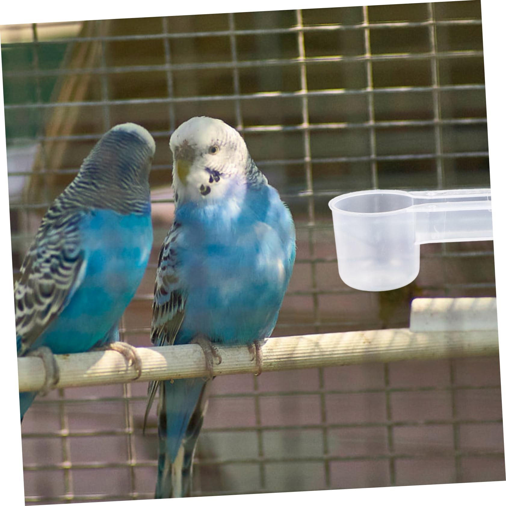 UPKOCH Distributore di Acqua per Uccelli e Piccioni Doppio Ugello in Plastica Bianca Resistente, 10 Unità per Alimentazione Sicura e Pulita in Casa o Negozio di Animali
