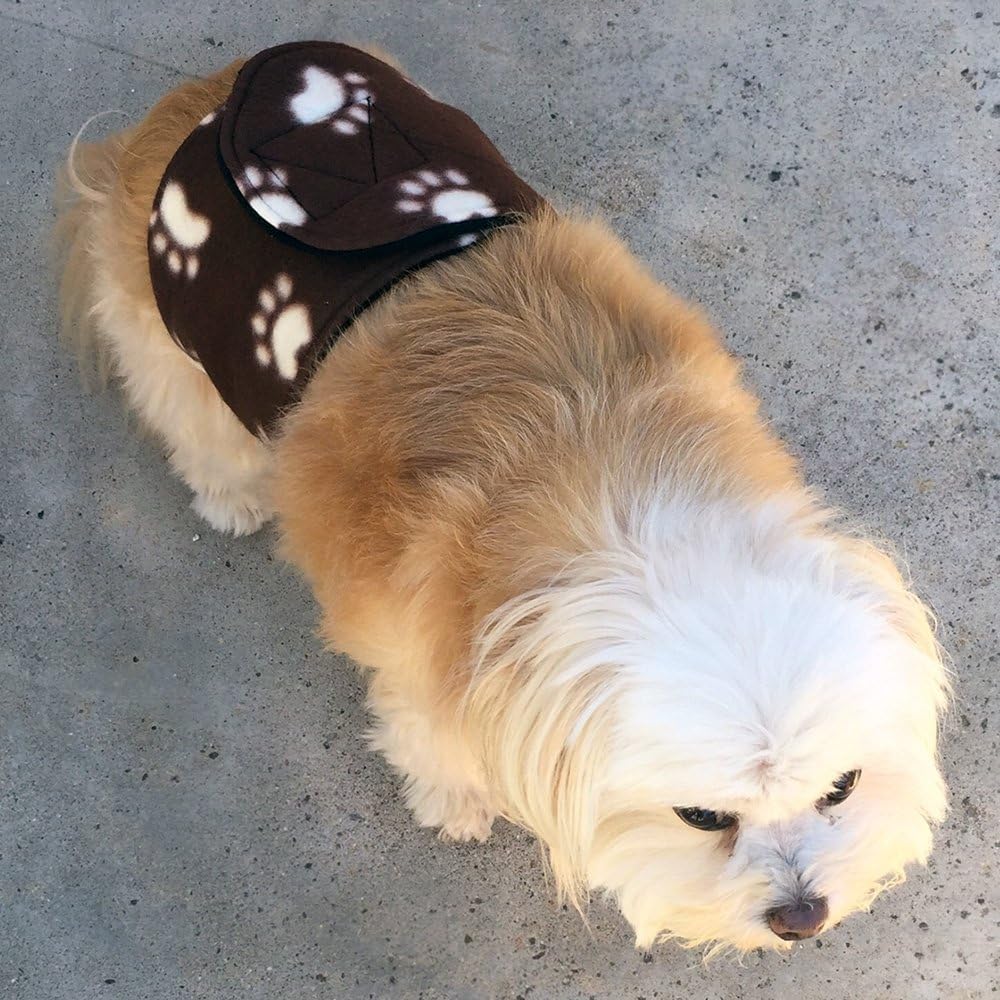 Premium Belly Band for Male Dog Training and Incontinence (Paw Print) (X-Small: 11-13") - - Washable and Reusable Dog Diaper