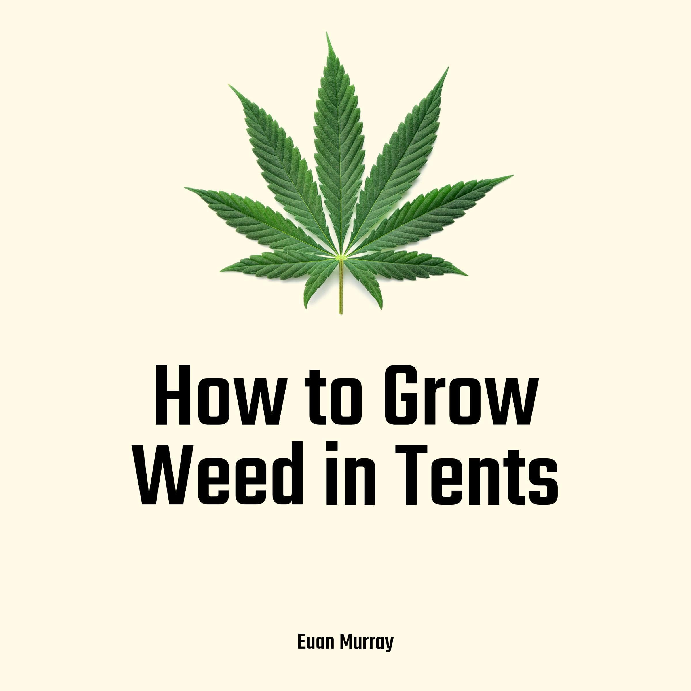 How to Grow Weed in Tents