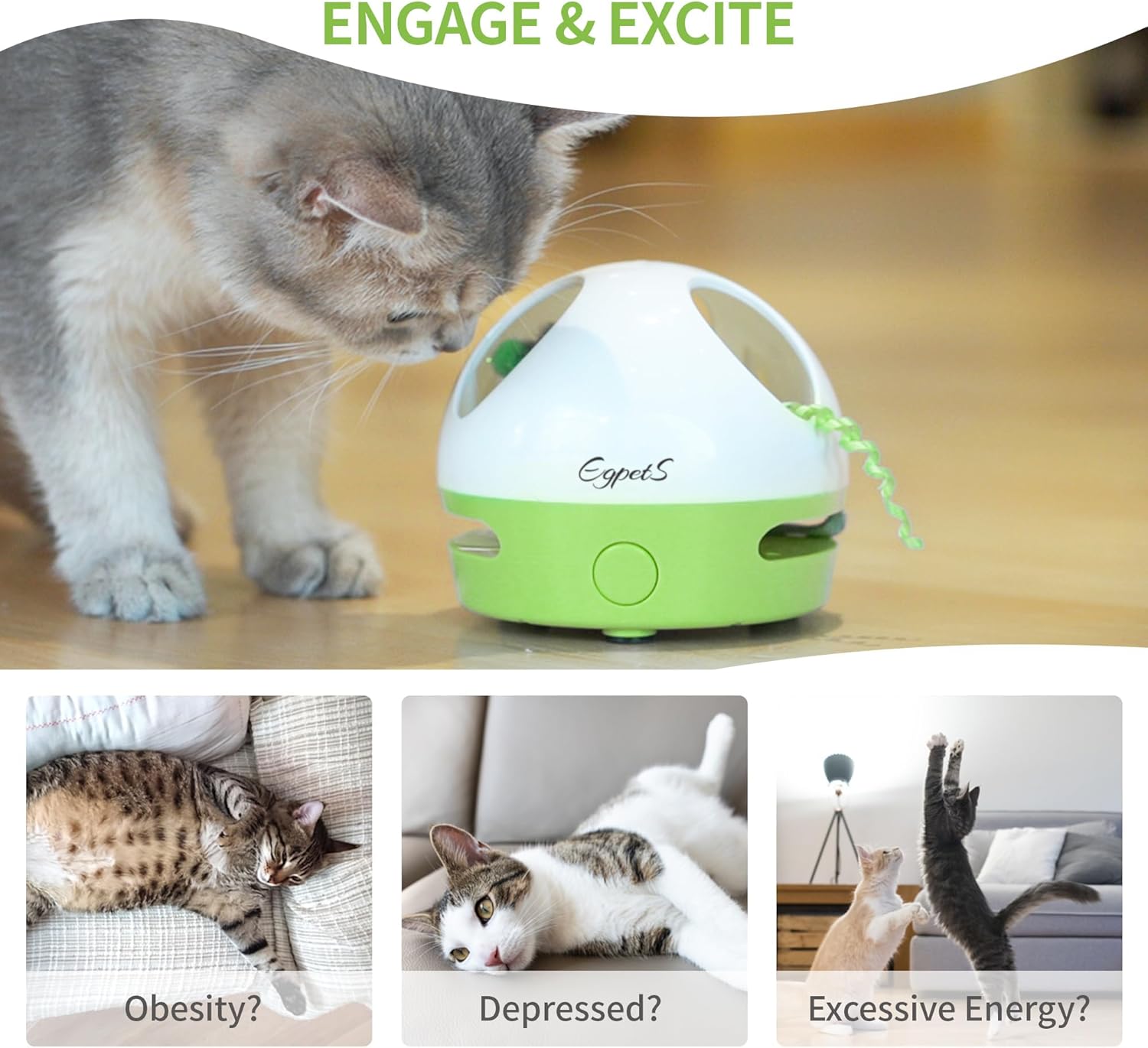 Cat Toy, Hide Mouse Cat Toy