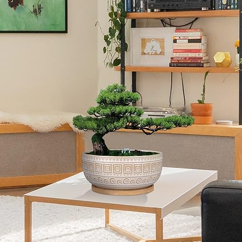 Miniatura 5 de G EPGardening Macetas de cerámica para suculentas de 8 pulgadas, maceta redonda de bonsái poco profunda para plantas de interior con drenaje y