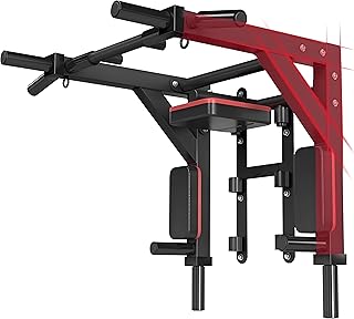 Multifunctional Wall Mounted Pull Up Bar/Chin Up bar,Dip Station for Indoor Home Gym Workout,Power