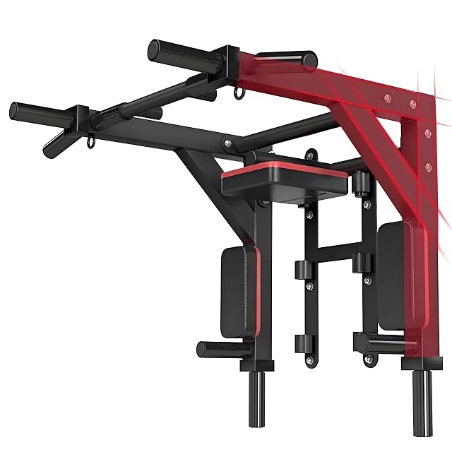 HAKENO Multifunctional Wall Mounted Pull Up Bar Chin Up bar Dip Station for Indoor Home Gym Workout Power