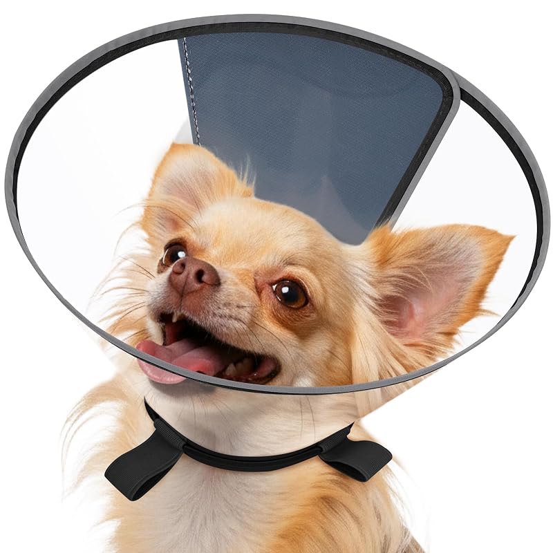 Colar elizabetano transparente para cães, colar de recuperação com faixa refletiva Didopet, Preto XXS