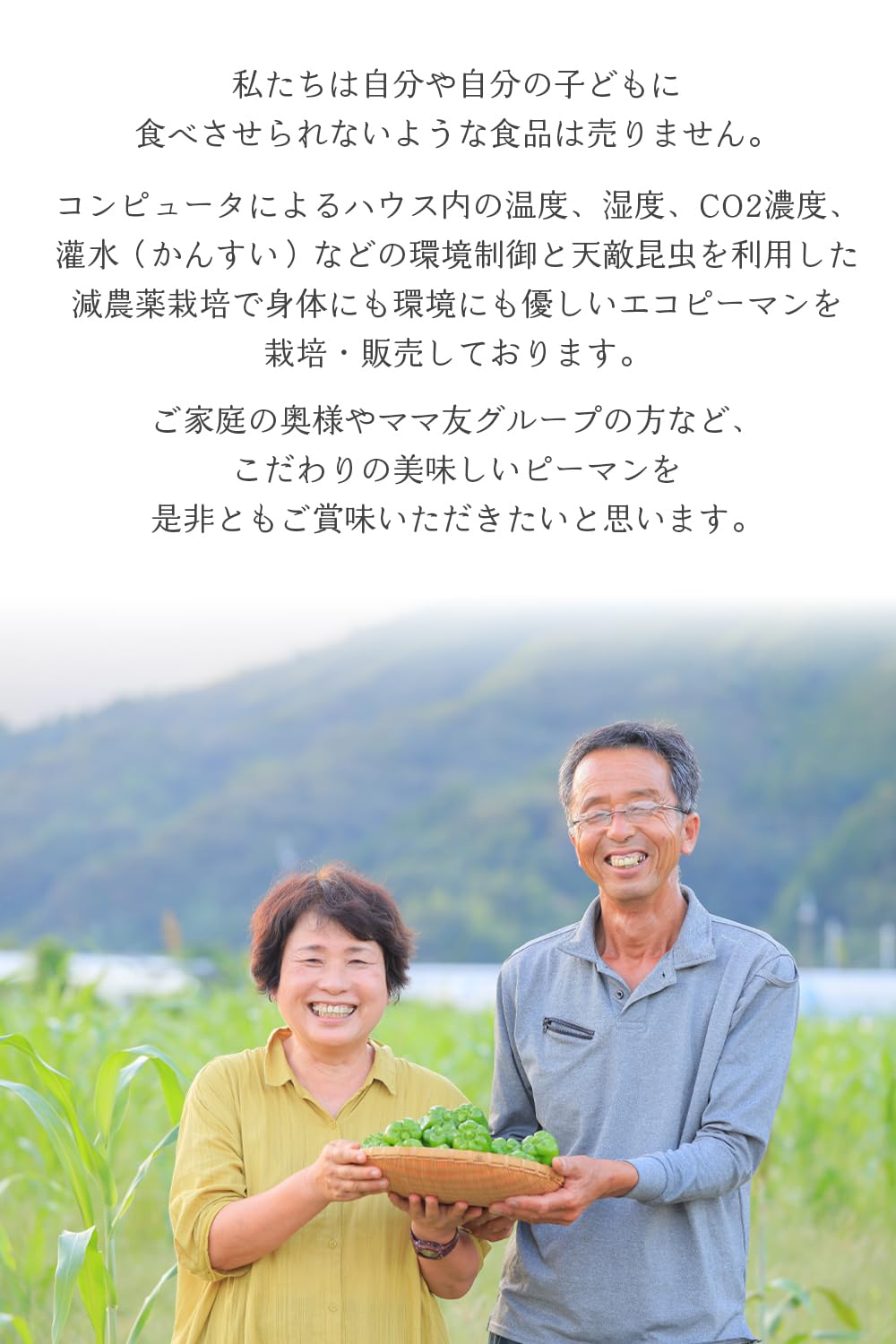 Amazon.co.jp: 高知県産 減農薬ピーマン 1kg｜植田ファーム｜苦味